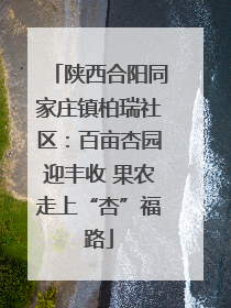 陕西合阳同家庄镇柏瑞社区：百亩杏园迎丰收 果农走上“杏”福路
