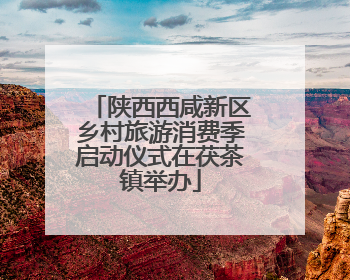 陕西西咸新区乡村旅游消费季启动仪式在茯茶镇举办