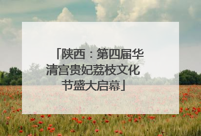 陕西：第四届华清宫贵妃荔枝文化节盛大启幕