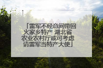 雷军不经意间带回火家乡特产 湖北省农业农村厅或可考虑请雷军当特产大使