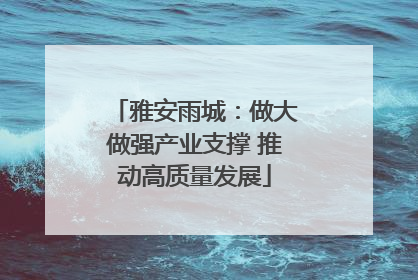雅安雨城：做大做强产业支撑 推动高质量发展