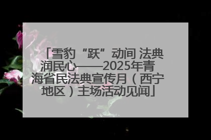 雪豹“跃”动间 法典润民心——2025年青海省民法典宣传月（西宁地区）主场活动见闻