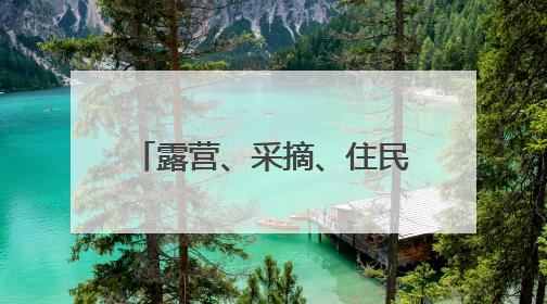 露营、采摘、住民宿……端午假期市民热衷“奔县游”