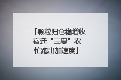 颗粒归仓稳增收 宿迁“三夏”农忙跑出加速度