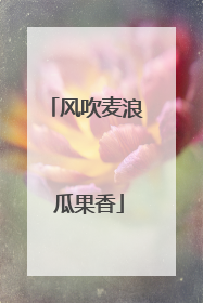 风吹麦浪 瓜果香