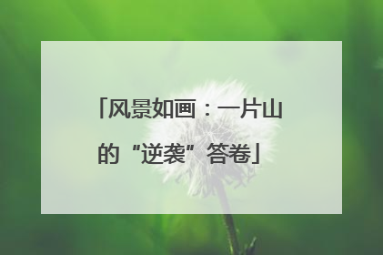 风景如画：一片山的“逆袭”答卷