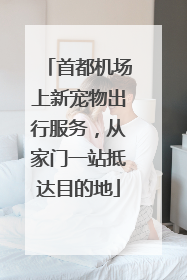 首都机场上新宠物出行服务，从家门一站抵达目的地