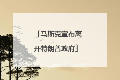 马斯克宣布离开特朗普政府