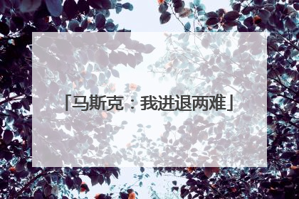 马斯克：我进退两难