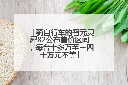 骑自行车的智元灵犀X2公布售价区间，每台十多万至三四十万元不等