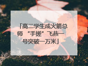 高二学生成火箭总师 “手搓”飞燕一号突破一万米