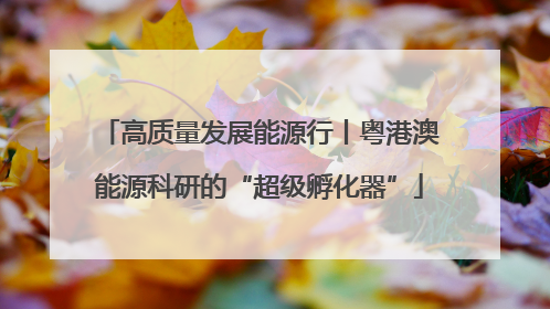 高质量发展能源行丨粤港澳能源科研的“超级孵化器”