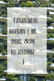 高质量发展践悟｜抓到底 改到位 治到根