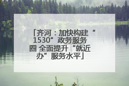 齐河：加快构建“1530”政务服务圈 全面提升“就近办”服务水平