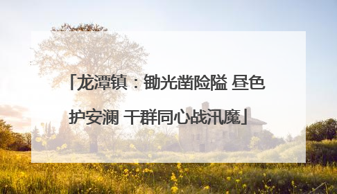 龙潭镇：锄光凿险隘 昼色护安澜 干群同心战汛魔
