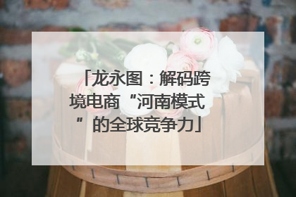 龙永图：解码跨境电商“河南模式”的全球竞争力