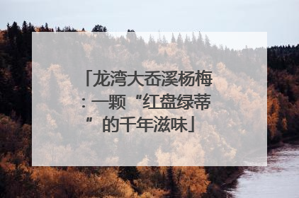 龙湾大岙溪杨梅：一颗“红盘绿蒂”的千年滋味
