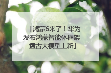 鸿蒙6来了！华为发布鸿蒙智能体框架 盘古大模型上新