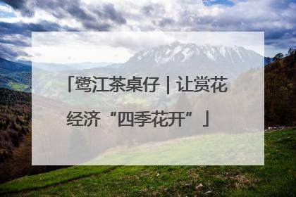 鹭江茶桌仔｜让赏花经济“四季花开”