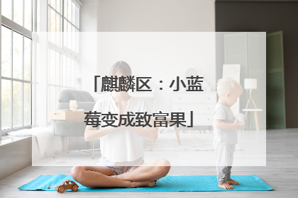 麒麟区：小蓝莓变成致富果