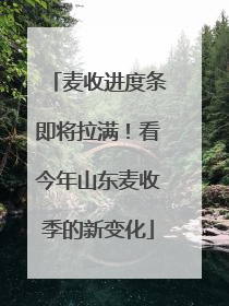 麦收进度条即将拉满！看今年山东麦收季的新变化