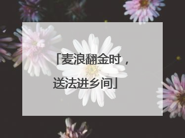 麦浪翻金时，送法进乡间