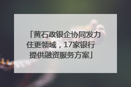 黄石政银企协同发力住更领域，17家银行提供融资服务方案