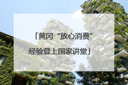 黄冈“放心消费”经验登上国家讲堂