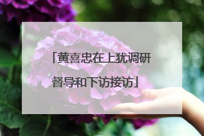 黄喜忠在上犹调研督导和下访接访