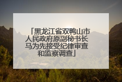 黑龙江省双鸭山市人民政府原副秘书长马为先接受纪律审查和监察调查