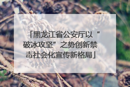 黑龙江省公安厅以“破冰攻坚”之势创新禁毒社会化宣传新格局