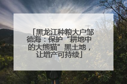 黑龙江种粮大户邹德海：保护“耕地中的大熊猫”黑土地，让增产可持续
