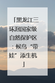 黑龙江三环泡国家级自然保护区：候鸟“带娃”添生机