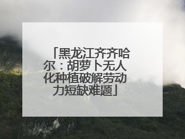 黑龙江齐齐哈尔：胡萝卜无人化种植破解劳动力短缺难题