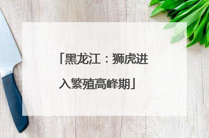 黑龙江：狮虎进入繁殖高峰期