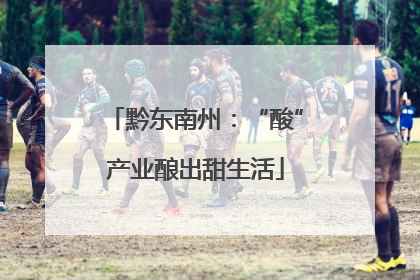 黔东南州：“酸”产业酿出甜生活