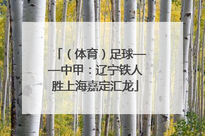 （体育）足球——中甲：辽宁铁人胜上海嘉定汇龙