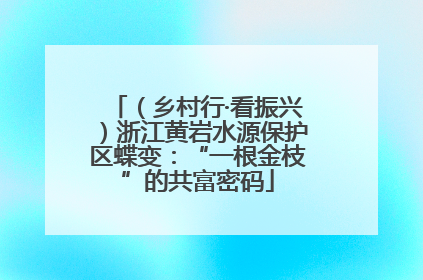 （乡村行·看振兴）浙江黄岩水源保护区蝶变：“一根金枝”的共富密码
