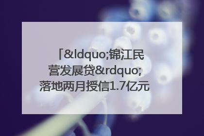 “锦江民营发展贷”落地两月授信1.7亿元，惠及118家民企