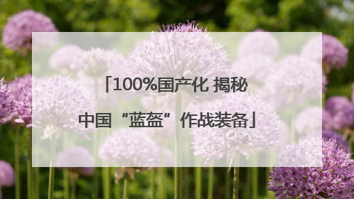 100%国产化 揭秘中国“蓝盔”作战装备