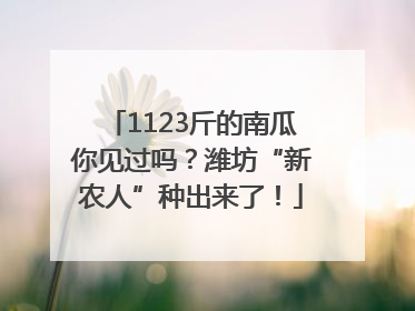 1123斤的南瓜你见过吗？潍坊“新农人”种出来了！