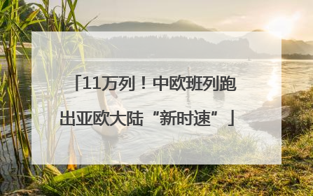 11万列！中欧班列跑出亚欧大陆“新时速”