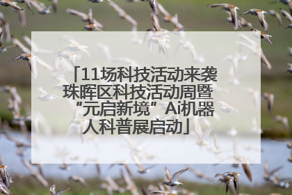 11场科技活动来袭 珠晖区科技活动周暨“元启新境”Ai机器人科普展启动