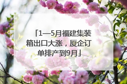 1—5月福建集装箱出口大涨，厦企订单排产到9月