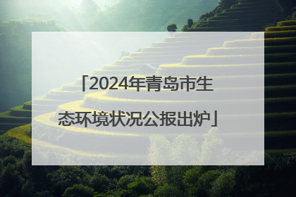 2024年青岛市生态环境状况公报出炉