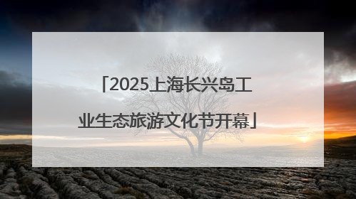 2025上海长兴岛工业生态旅游文化节开幕