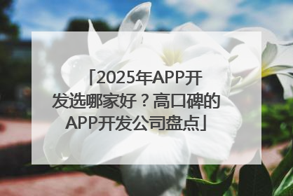 2025年APP开发选哪家好？高口碑的APP开发公司盘点