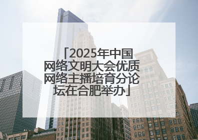 2025年中国网络文明大会优质网络主播培育分论坛在合肥举办