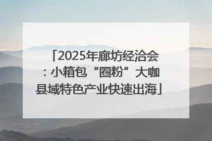 2025年廊坊经洽会：小箱包“圈粉”大咖 县域特色产业快速出海