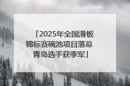 2025年全国滑板锦标赛碗池项目落幕 青岛选手获季军